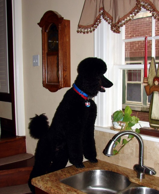 blog max factor blog max factor