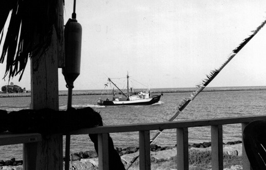 Jeff's at the Jetties -- Watching the Shrimpboats & Dolphins